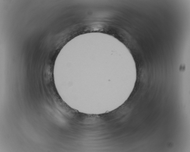 X0000111481442200908250949
