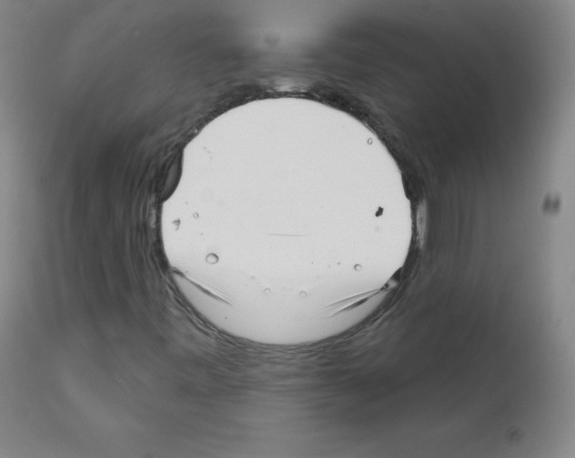X0000111481443200908250949