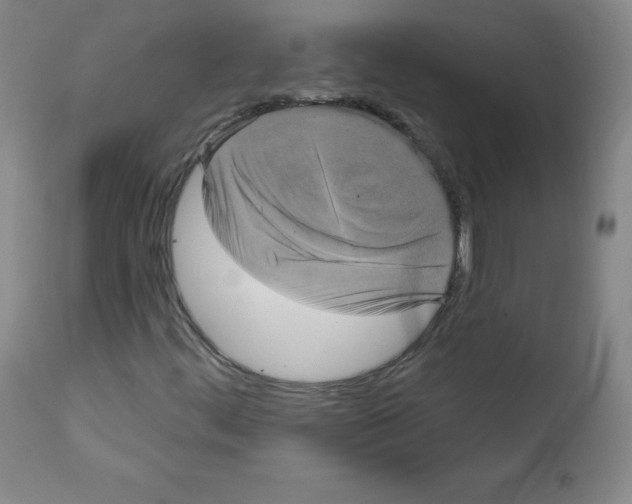X0000111481444200908250949