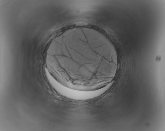 X0000111481445200908250949