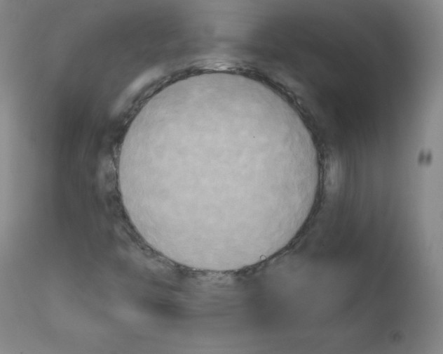X0000111481446200908250949