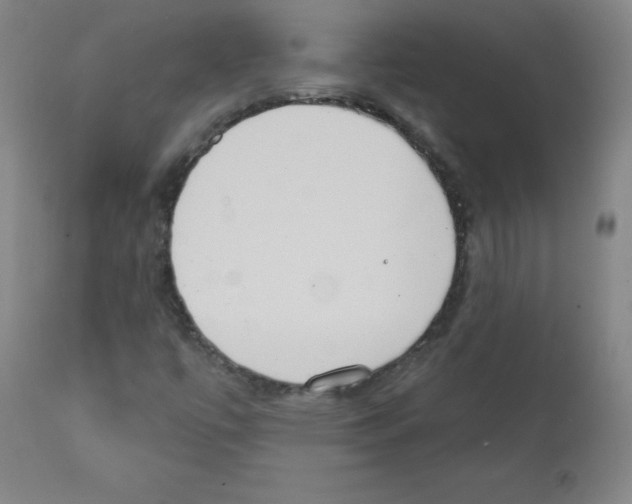 X0000111481447200908250949