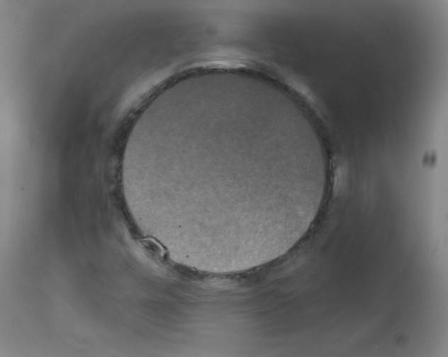 X0000111481448200908250949