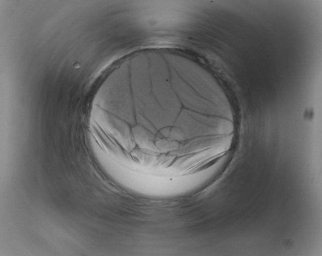 X0000111481449200908250949