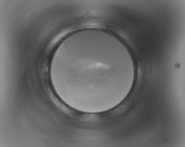 X0000111481450200908250949