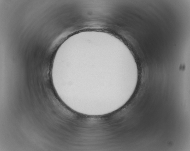 X0000111481451200908250949
