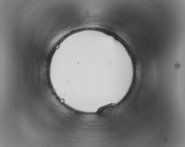 X0000111481452200908250949