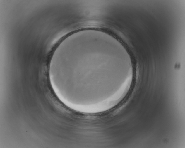 X0000111481453200908250949