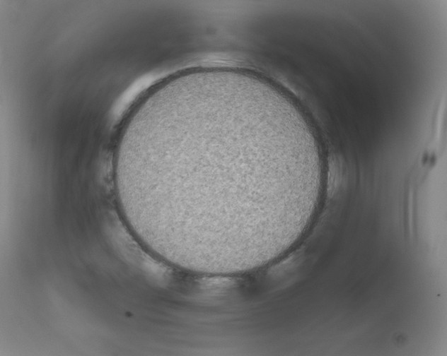 X0000111481454200908250949