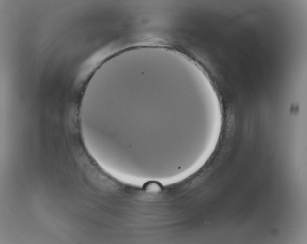 X0000111481455200908250949
