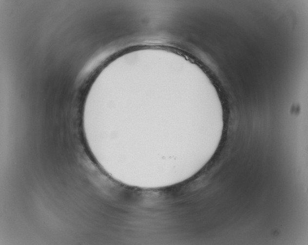 X0000111481456200908250949