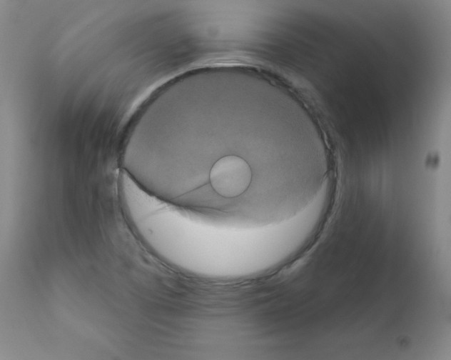 X0000111481457200908250949