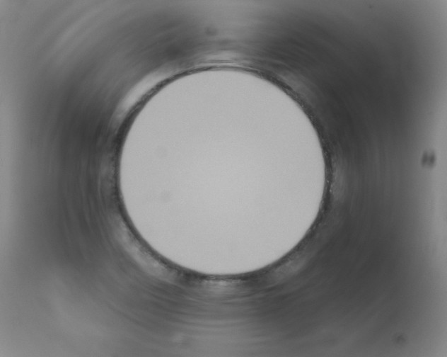 X0000111481458200908250949