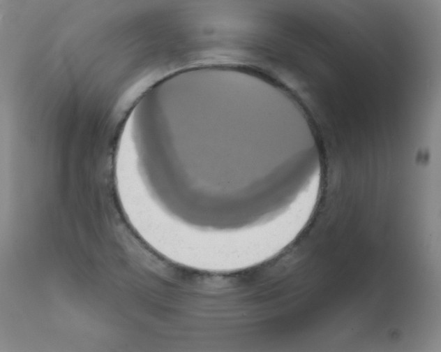 X0000111481459200908250949