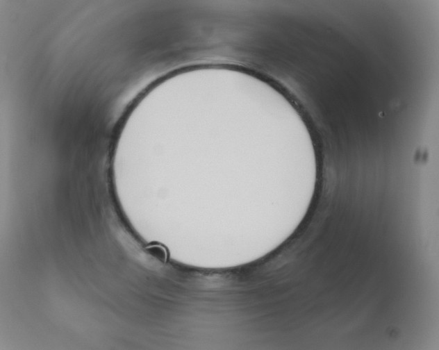 X0000111481460200908250949
