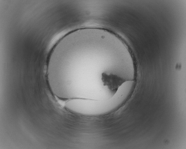 X0000111481461200908250949