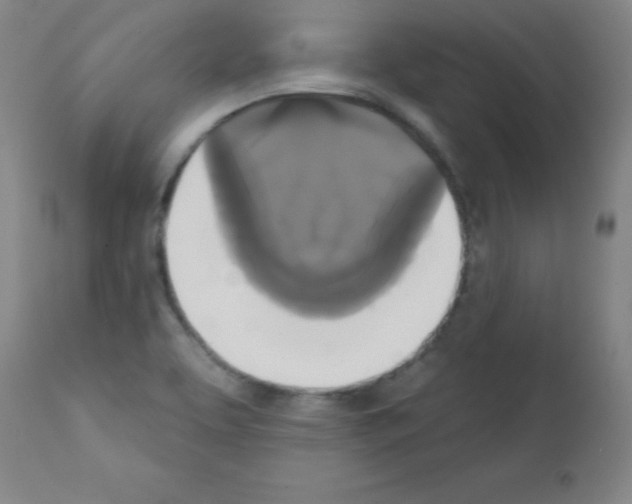 X0000111481463200908250949
