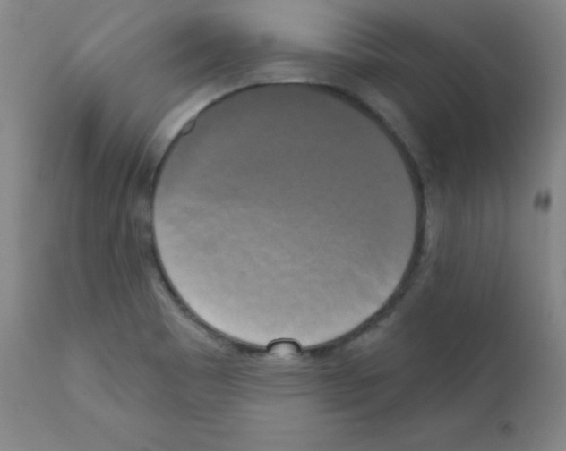 X0000111481465200908250949