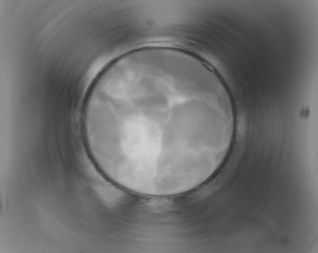X0000111481466200908250949