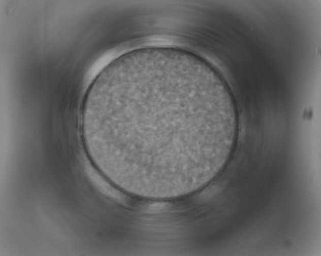 X0000111481467200908250949
