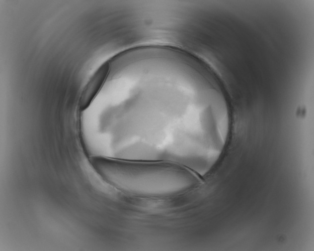 X0000111481468200908250949