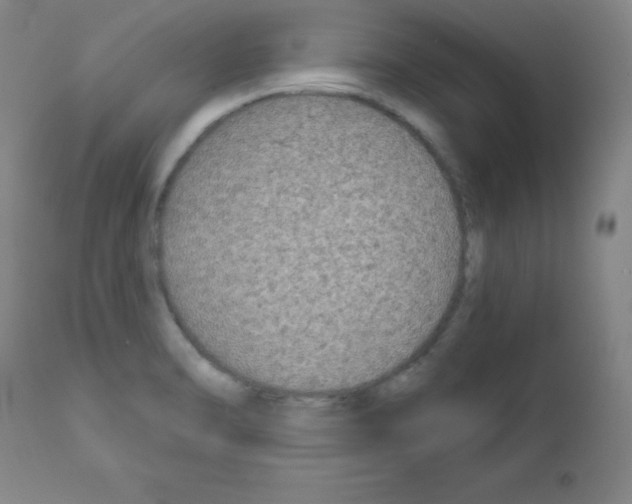 X0000111481470200908250949