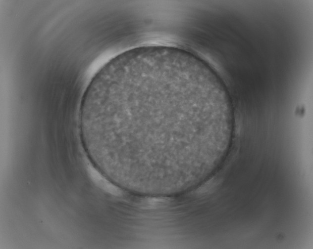 X0000111481471200908250949