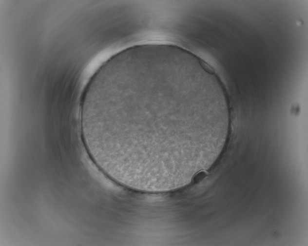X0000111481472200908250949