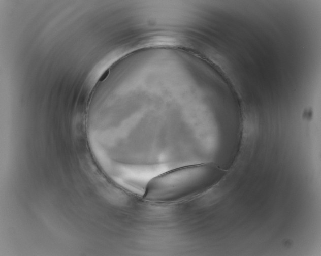 X0000111481473200908250949