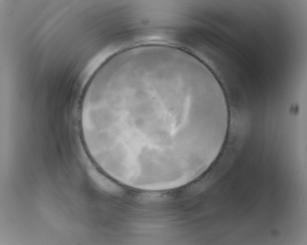 X0000111481474200908250949