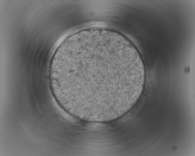 X0000111481475200908250949