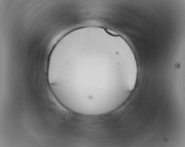 X0000111481477200908250949