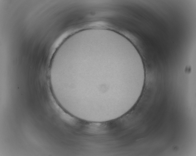 X0000111481478200908250949