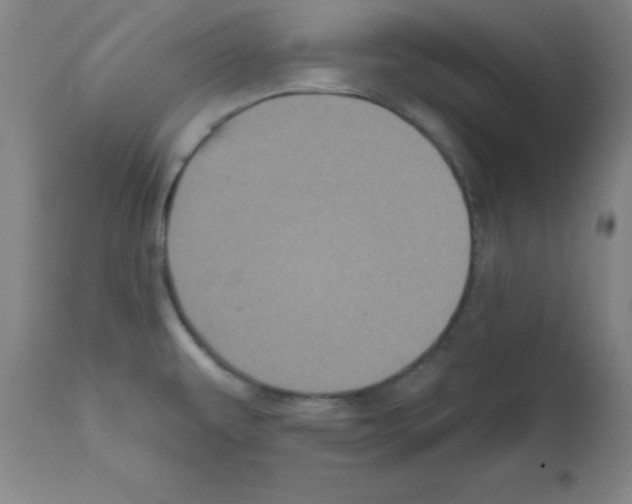 X0000111481479200908250949