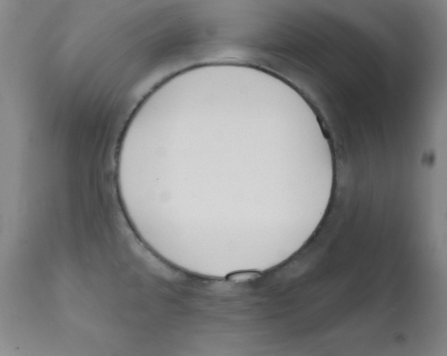 X0000111481480200908250949