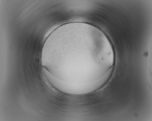 X0000111481481200908250949