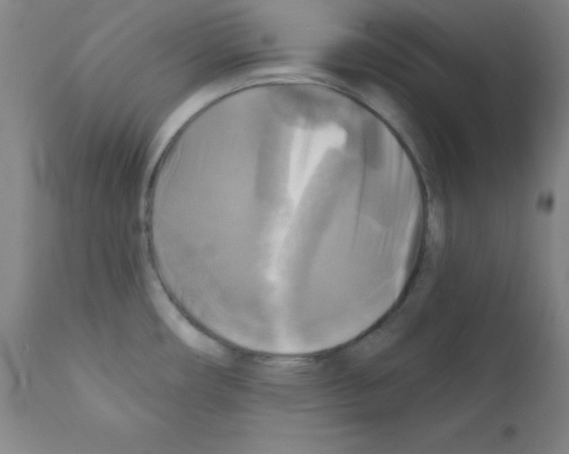 X0000111481482200908250949