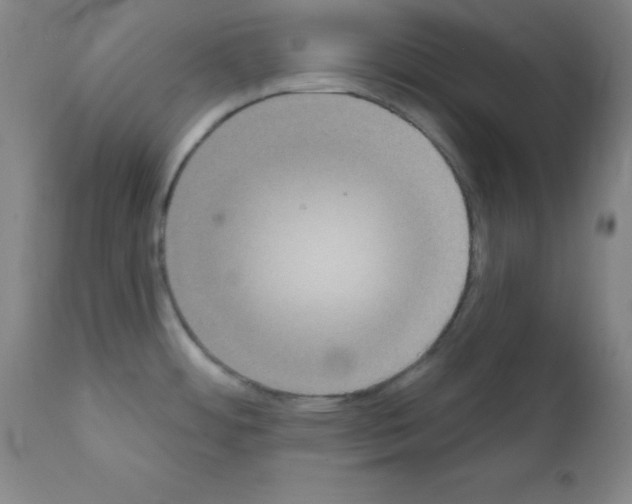 X0000111481484200908250949