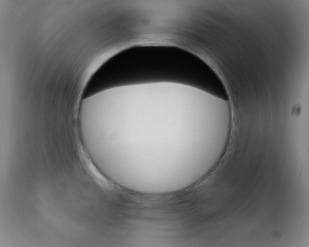 X0000111481485200908250949