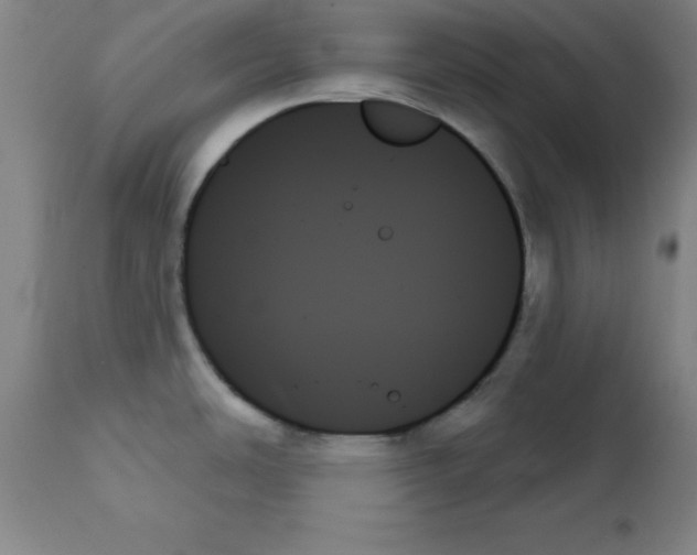 X0000111481486200908250949