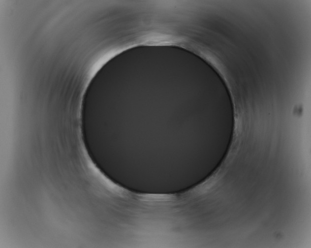 X0000111481487200908250949