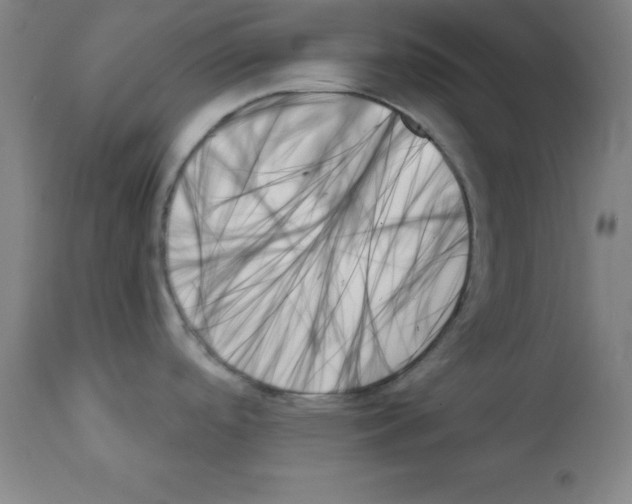 X0000111481488200908250949