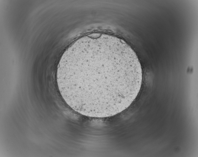 X0000111481489200908250948