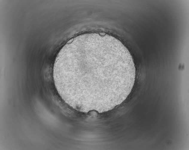 X0000111481490200908250948