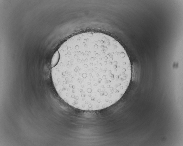 X0000111481491200908250948