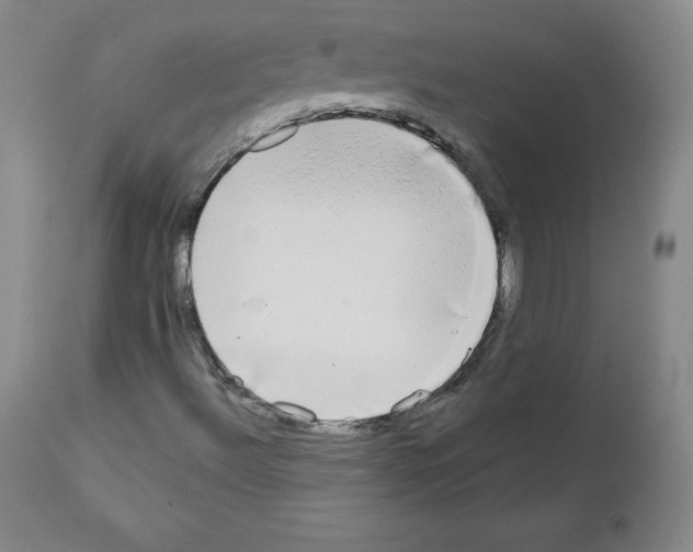 X0000111481492200908250948