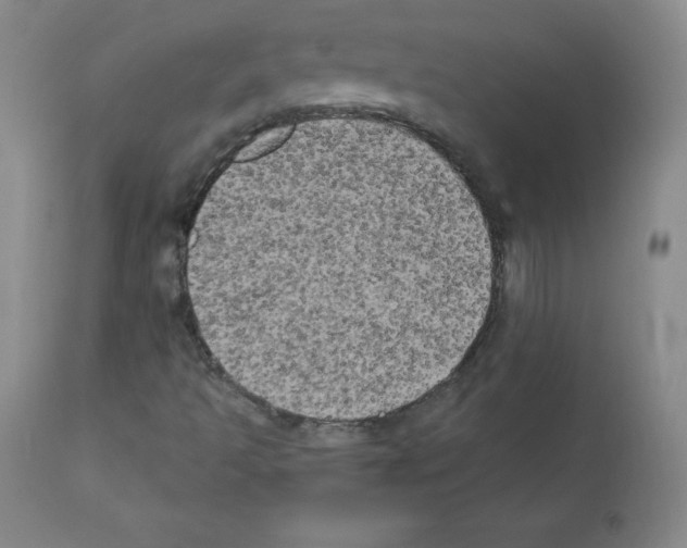 X0000111481493200908250948