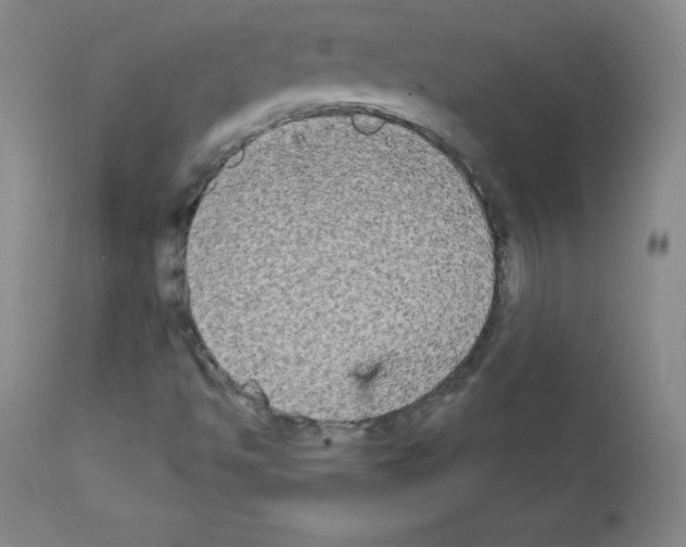 X0000111481494200908250948