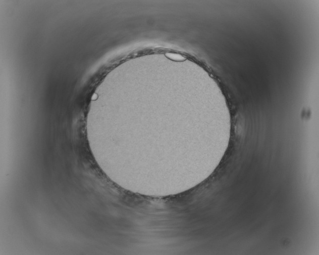 X0000111481495200908250948