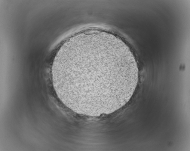 X0000111481496200908250948
